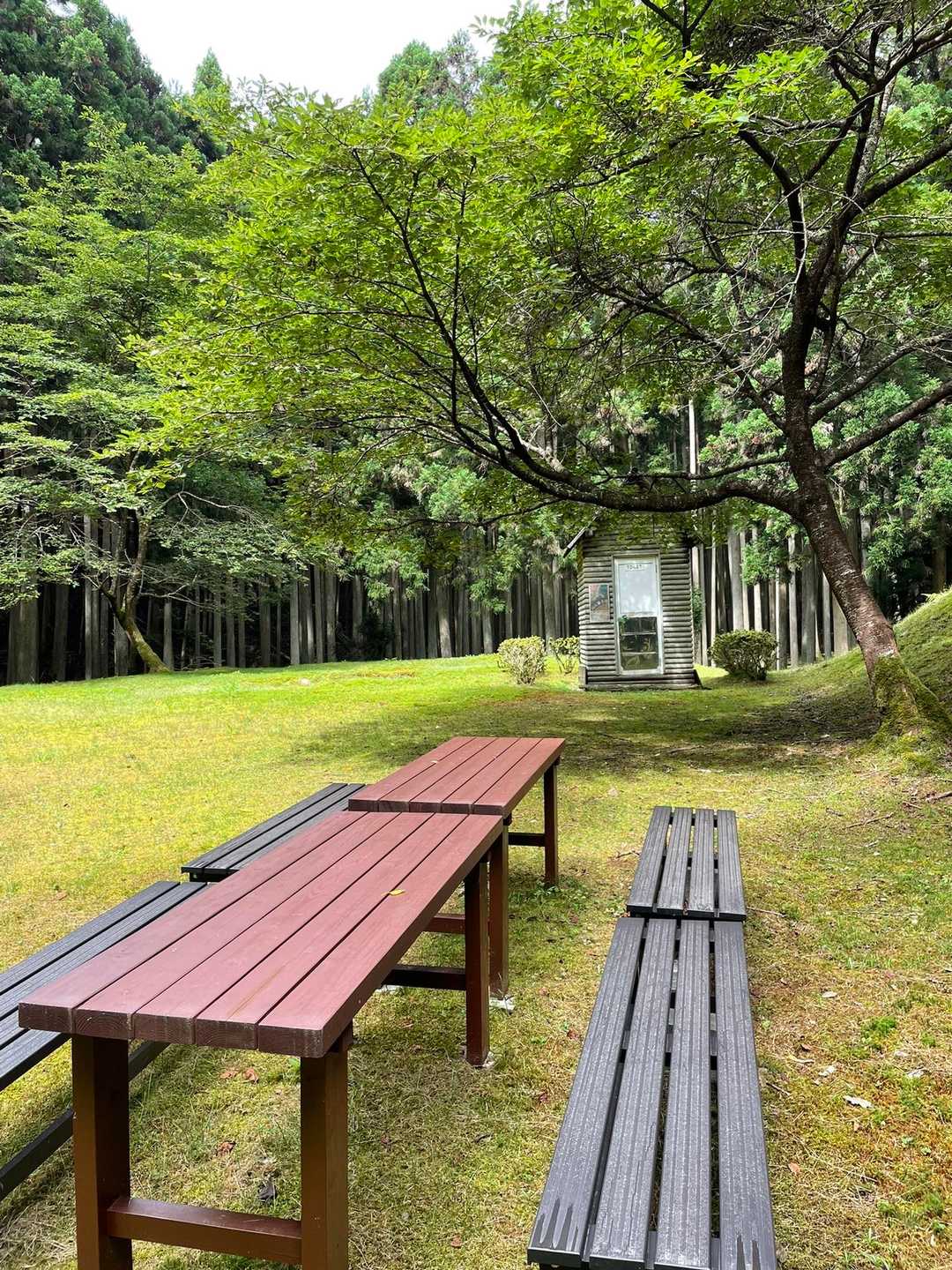 2つ目の休憩所とトイレ🎵
整備されまくりですね😄