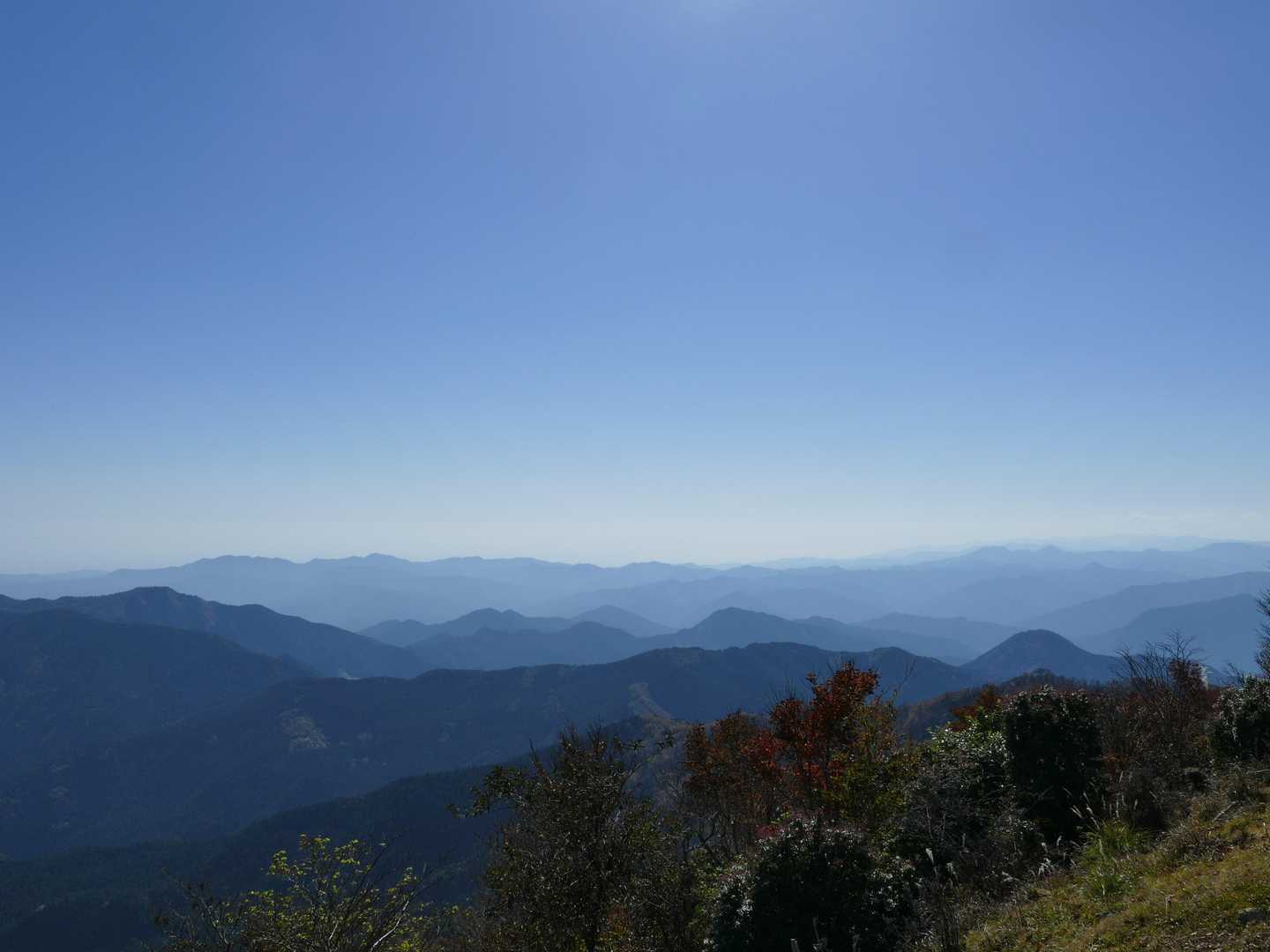 高丸山登山口-三つ尾の峠-一本ブナの峰-高丸山 周回コースの写真