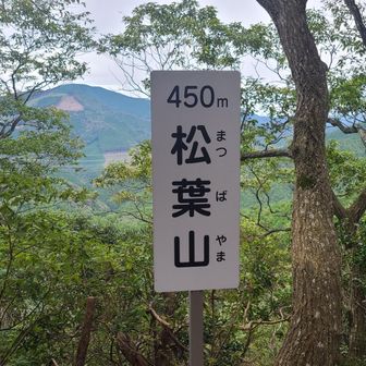 概ね舗装林道、最後だけ少し尾根道。
前回無かった立派な標示と、若干の見晴らし。
