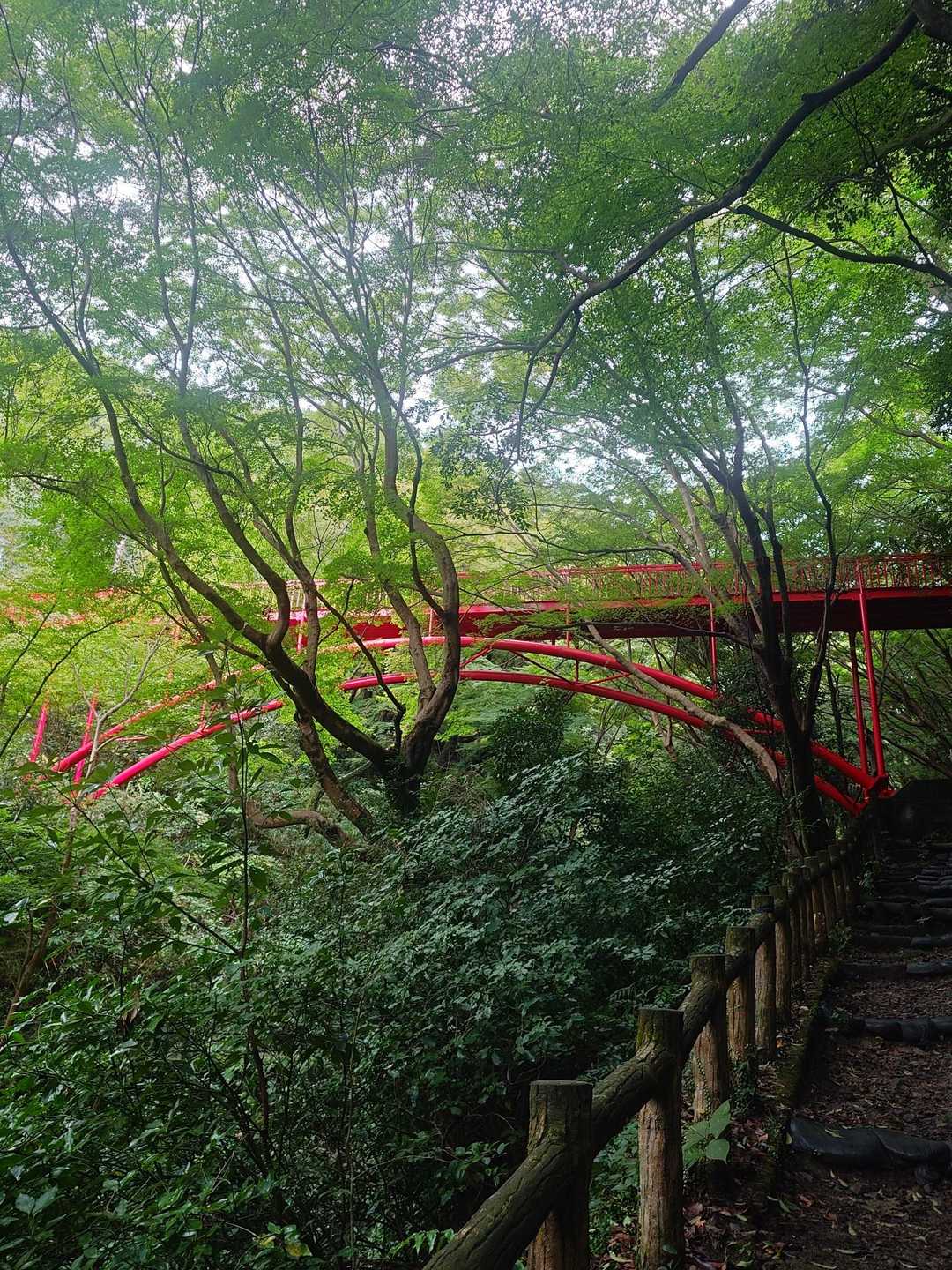 塗り替えられた橋の赤さが綺麗😍