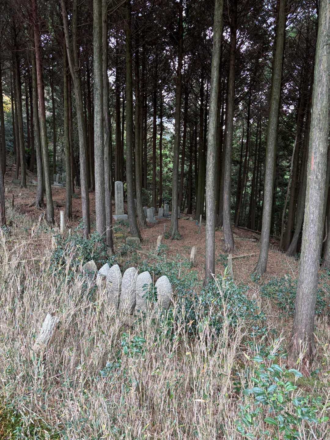 あらら(O_O)
お、お墓が💦えらく荒れてますけど
、こんなところにお墓が…
後で調べたけどわかりませんでした。