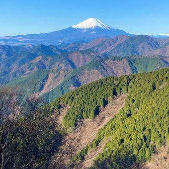 丹沢からの富士山はいいですねー