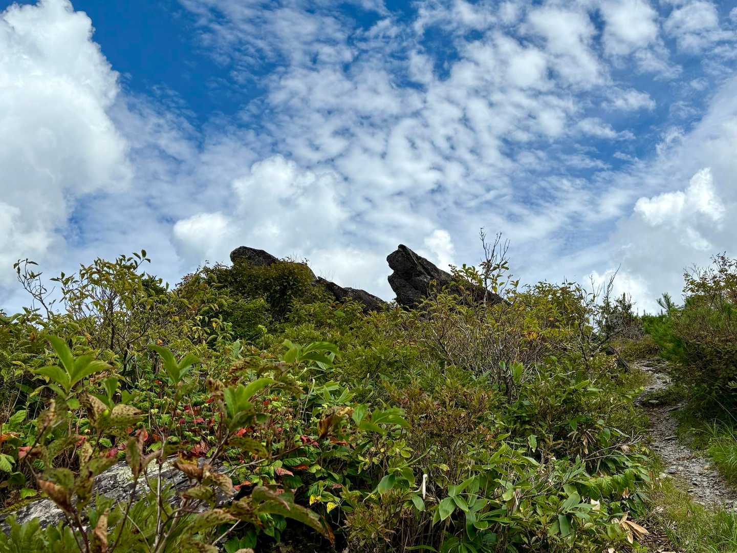 モナドノックス
残丘の事だって今日改めて分かりました。早池峰山もそうなんですね⛰️
