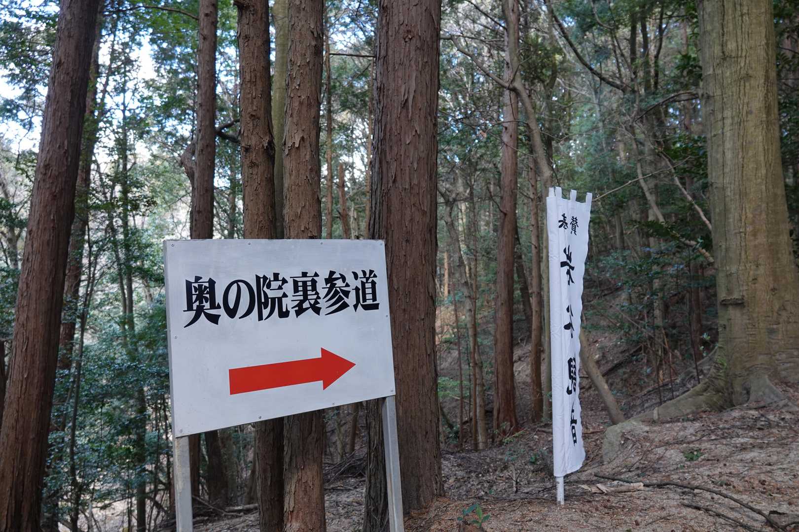 表参道入口-聖ヶ峰-奥の院裏山道入口 往復コースの写真