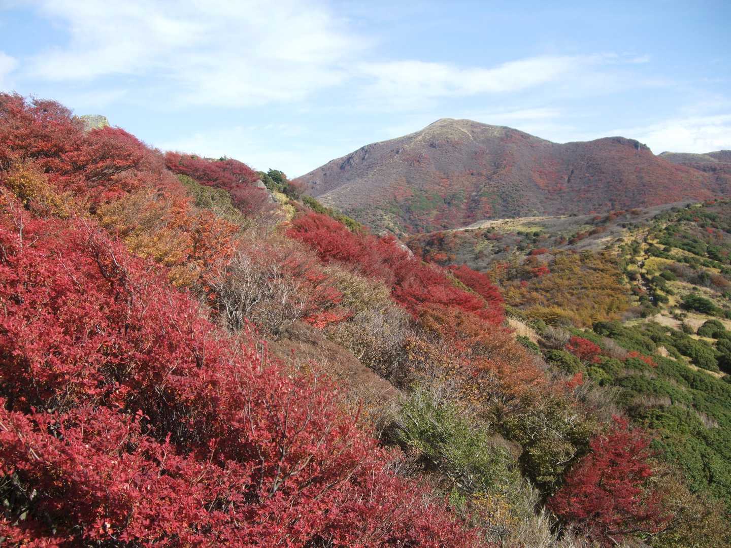 紅葉の斜面と星生山。