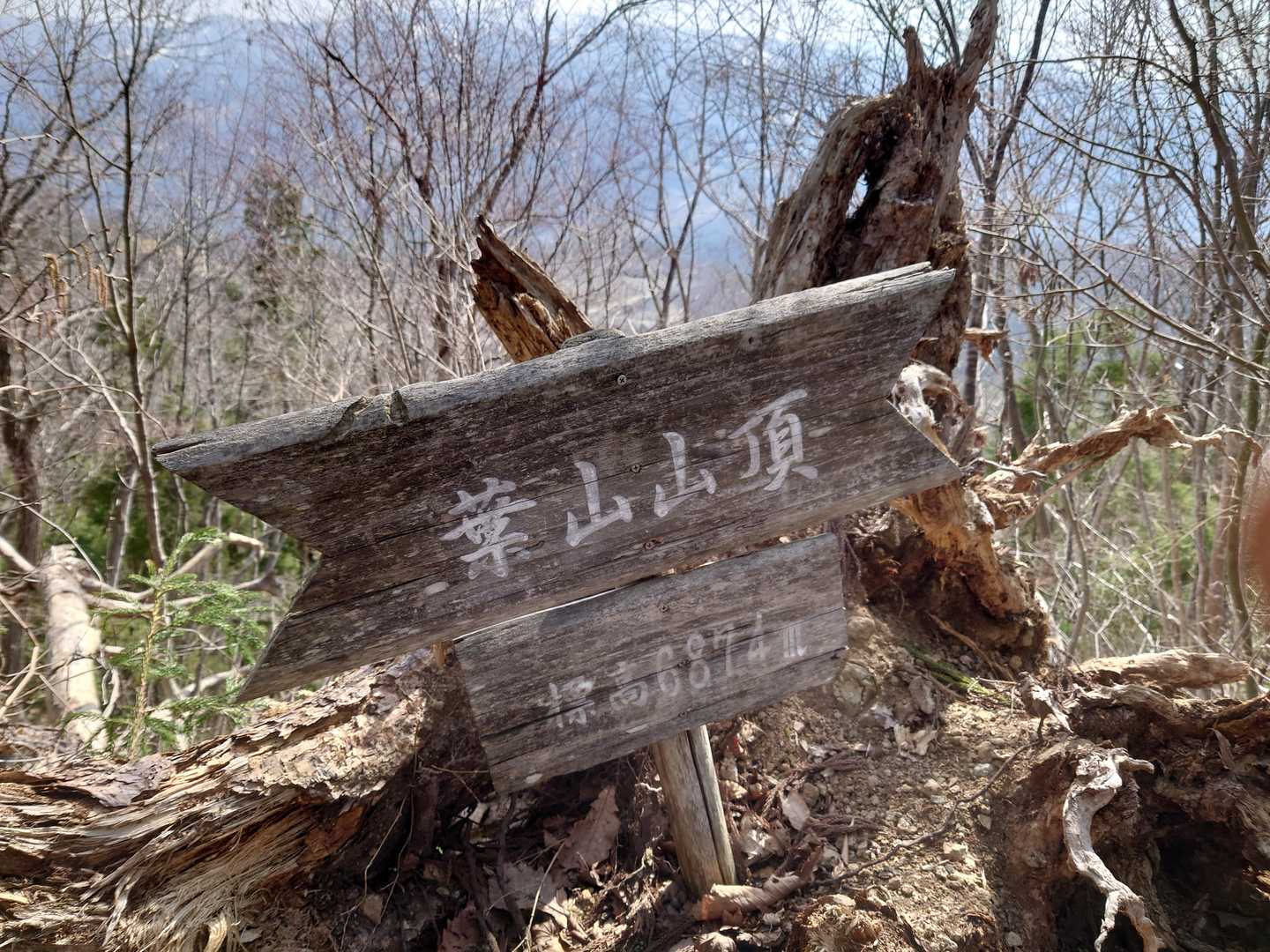 三吉山-葉山 周回コースの写真