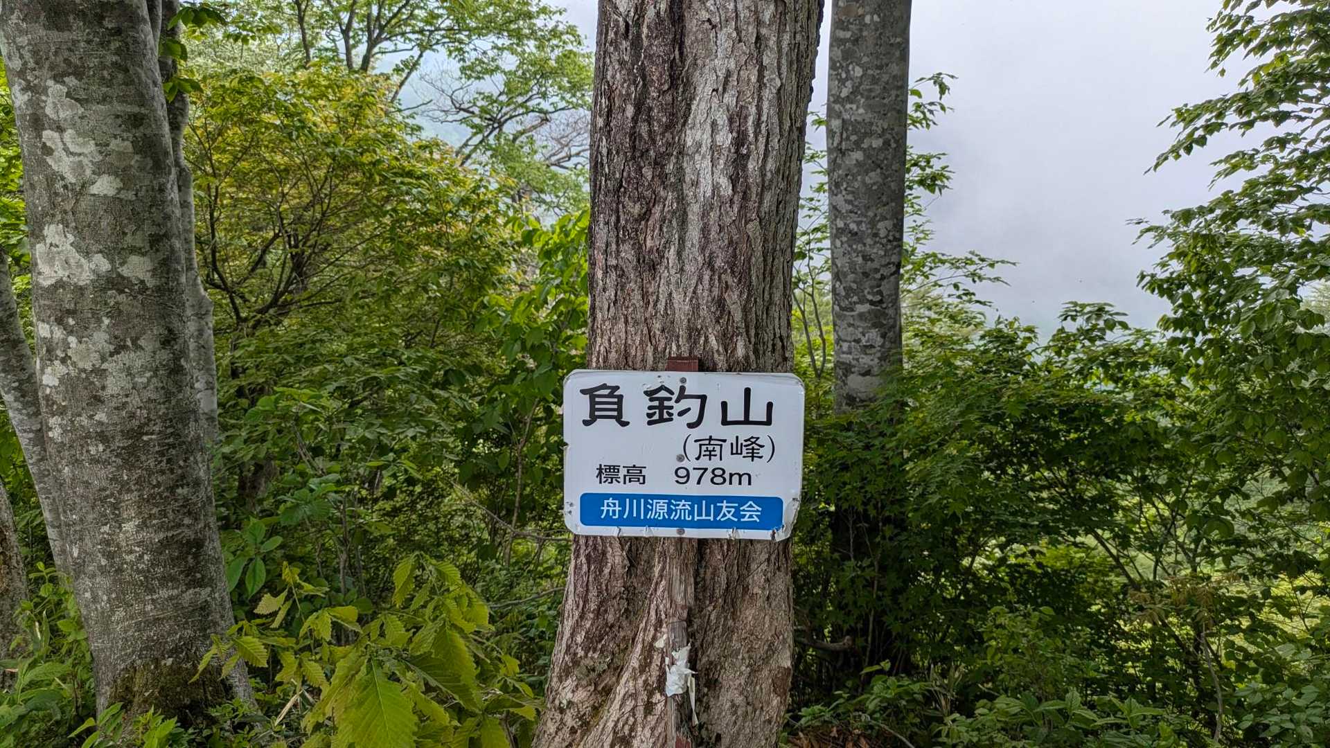 南峯も制覇。