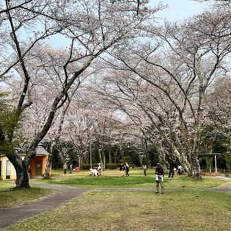 下からでも十分綺麗ですが😍
展望台に行ってみましょう！