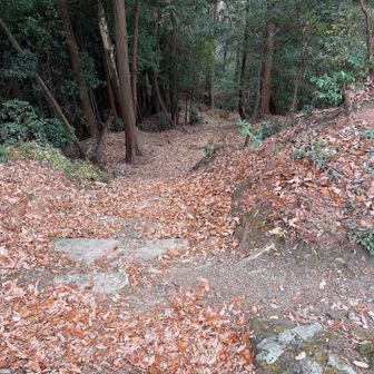 登っては降ります💦