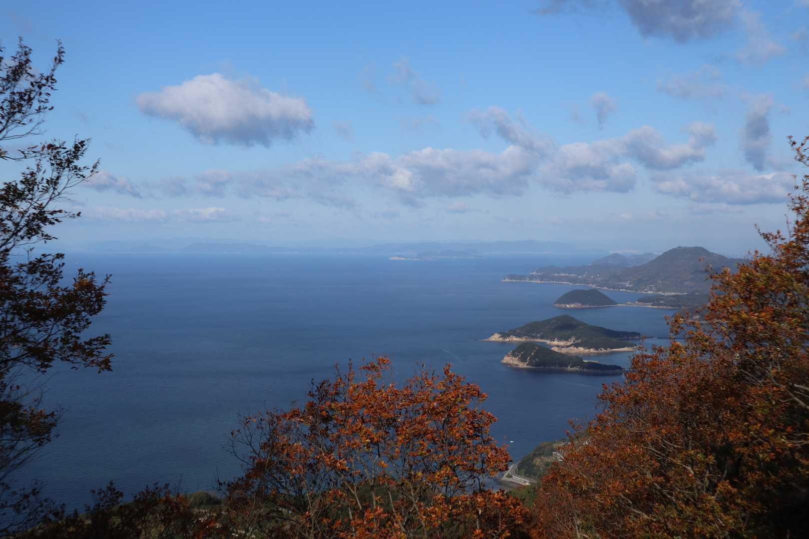 稲積山-七宝山-志保山 往復コースの写真