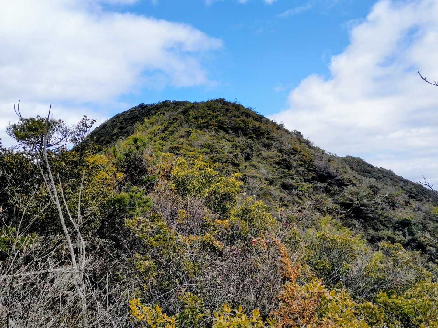 下山途中に大坂山をふり返る