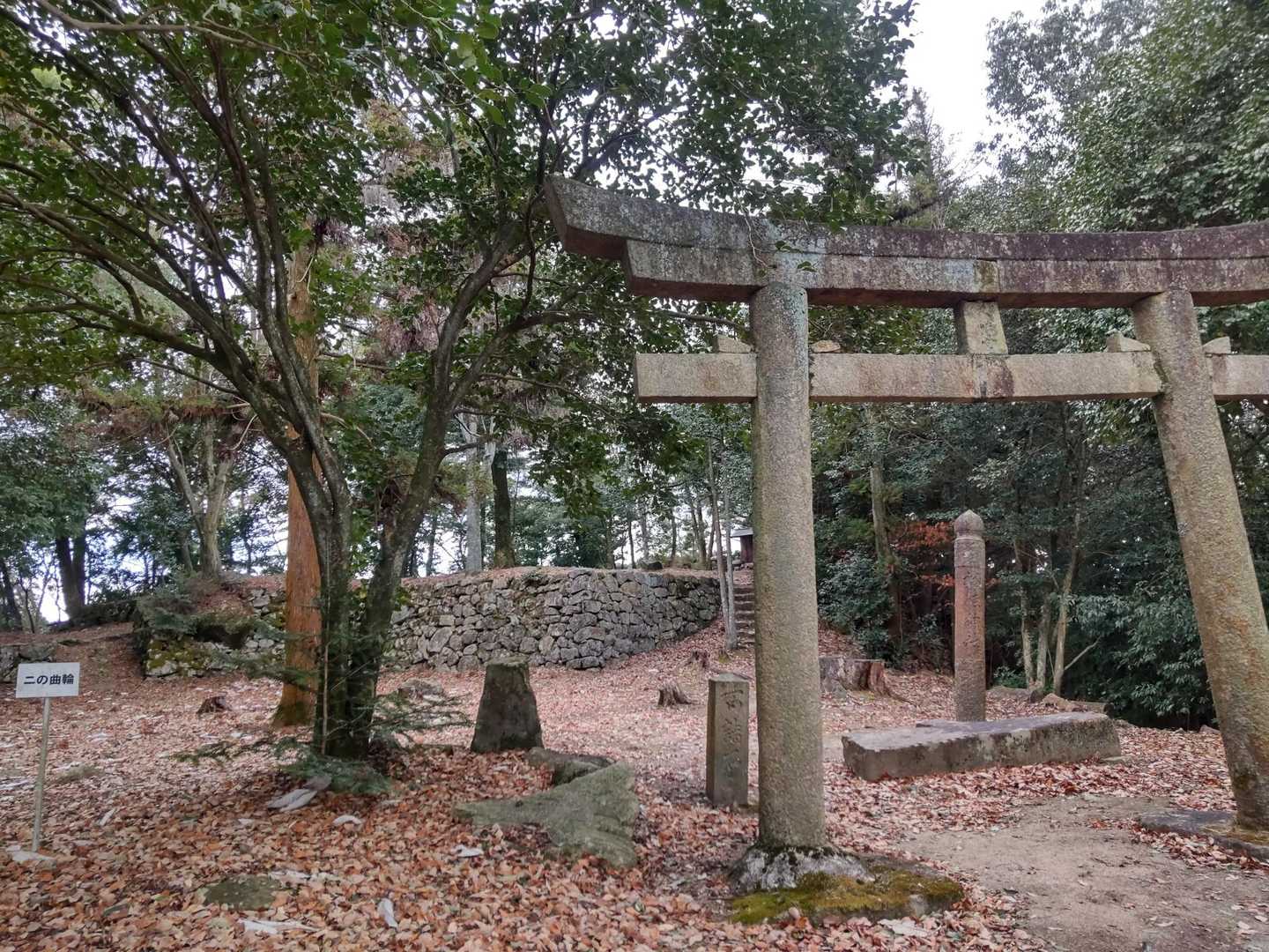 城山 往復コースの写真