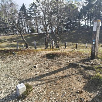 山頂から
南を望む