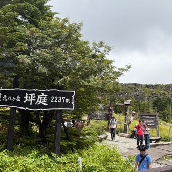 たまに陽が差しますが、終始☁️模様の1日でした。