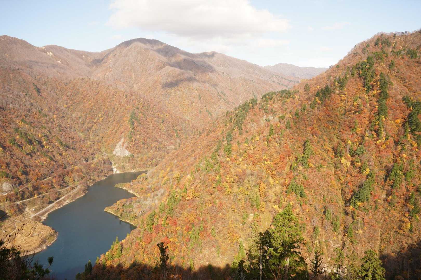 下界の紅葉は見頃🍁