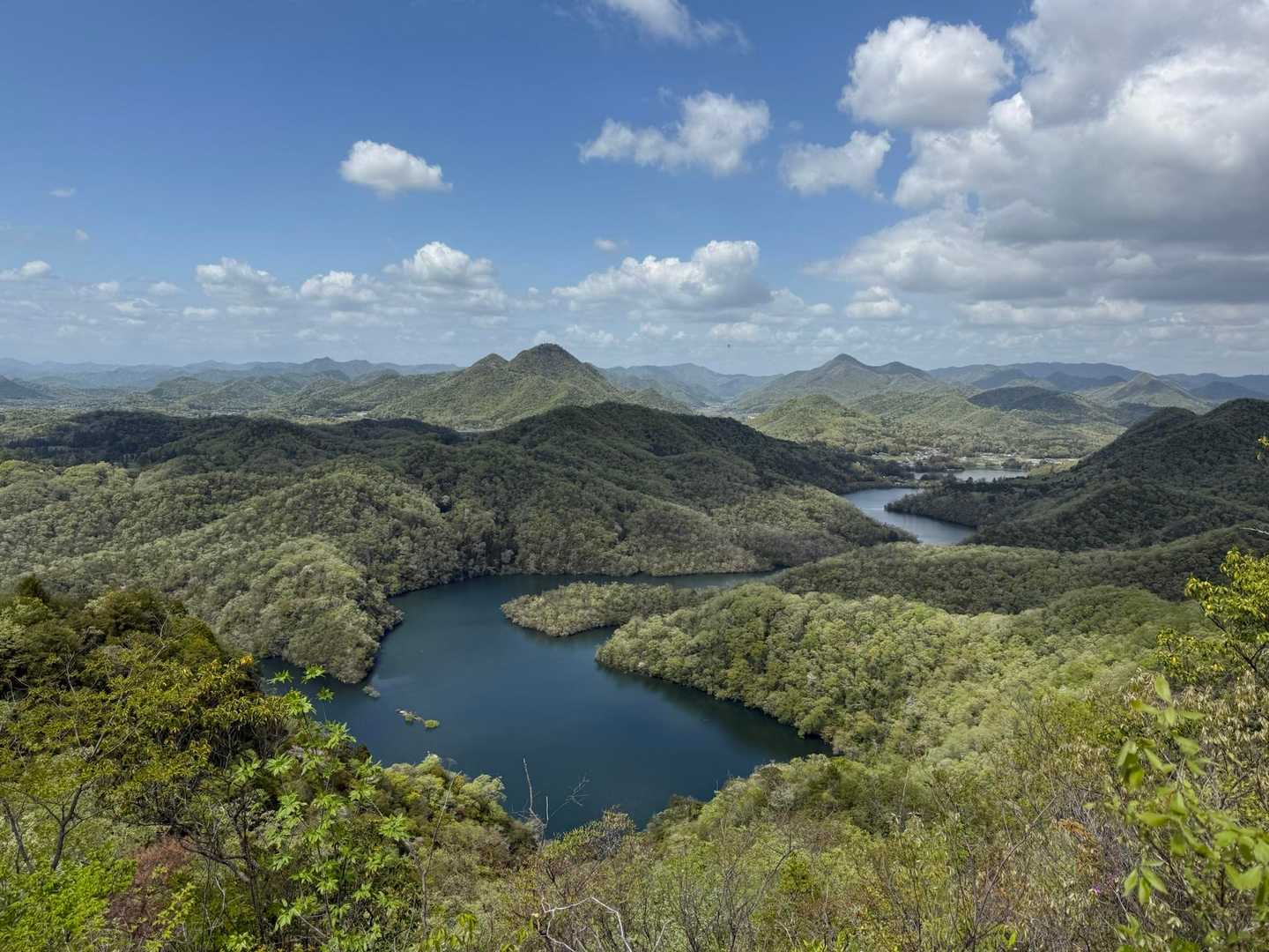 大岩ヶ岳登山口-大岩ヶ岳 往復コースの写真