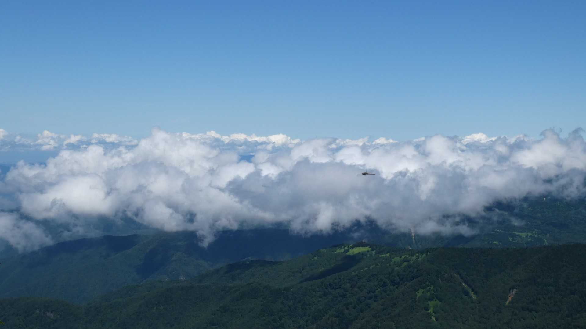 北から雲が湧いてきました