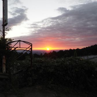 何気なくスタートして、日差しを感じて見てみると、朝日🌅！
もぅ雲の中と思い込んでたのでラッキー！