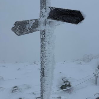 山頂への標識
海老が育ってきてる😊