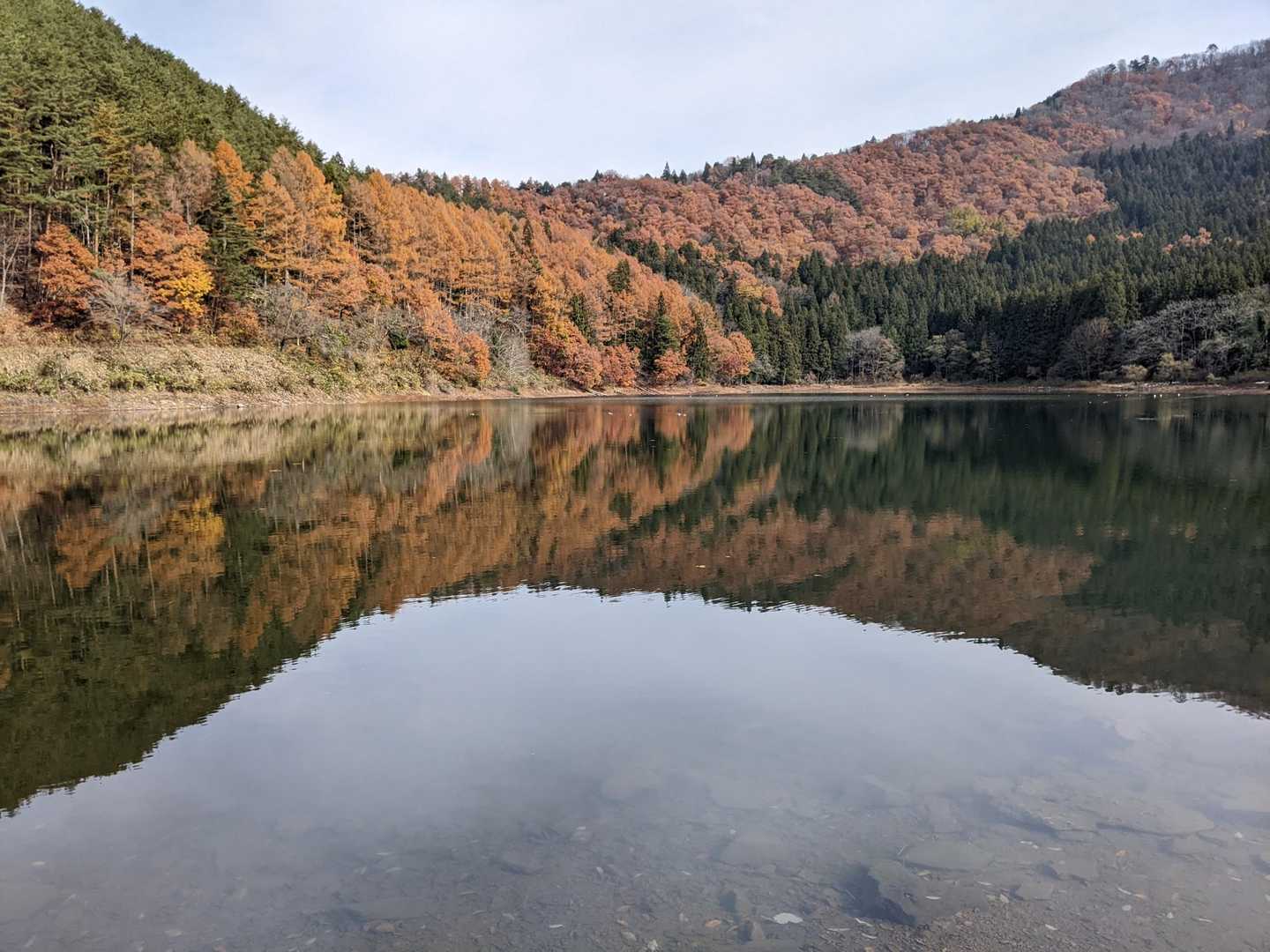 小菅神社-小菅山 周回コースの写真