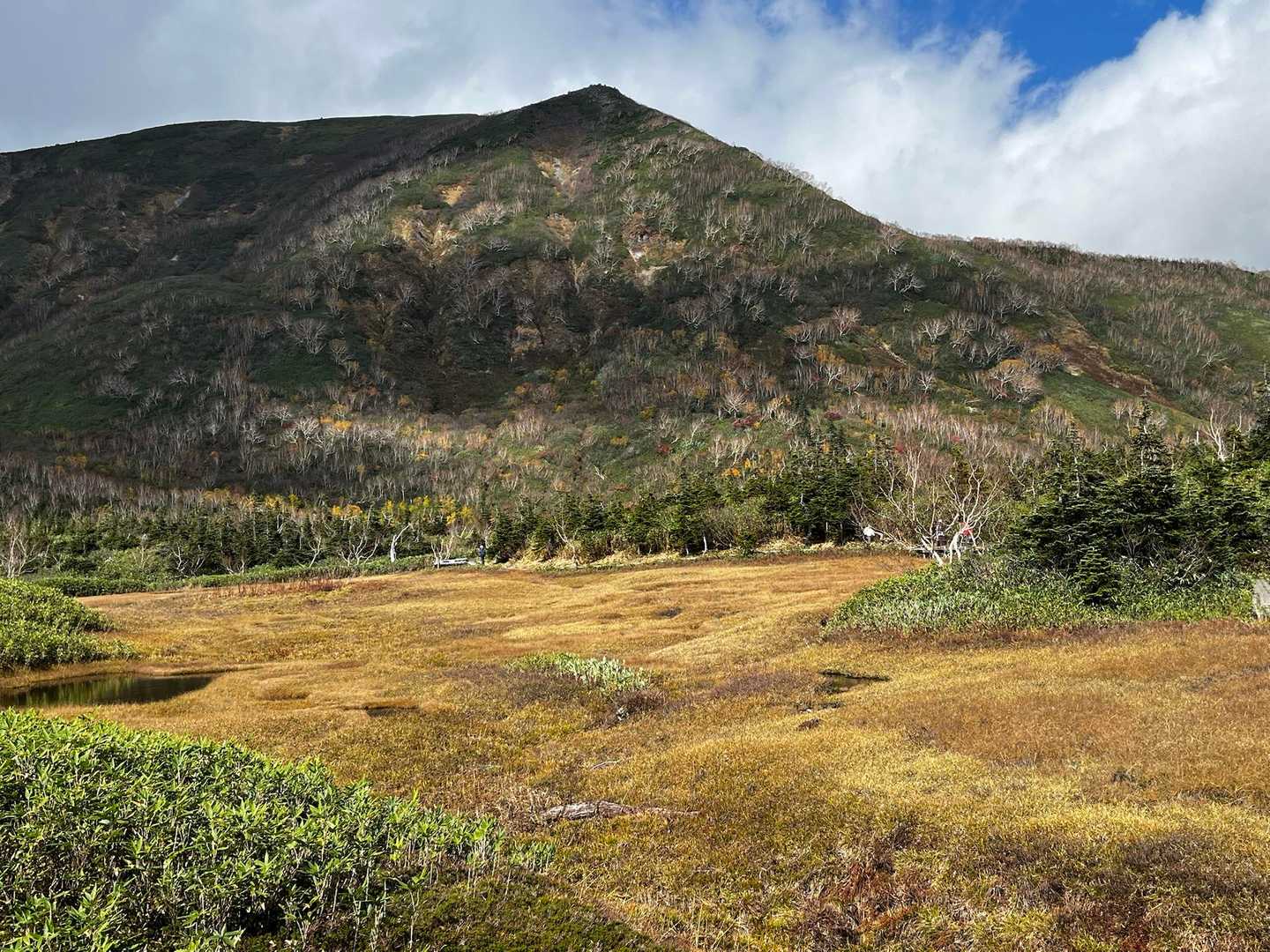 栂池自然園 | 背後には白馬連峰の美しい稜線。四季の移ろいが池塘に映える高層湿原の写真