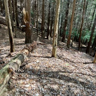 登山口へ向かう道