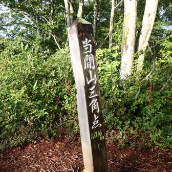 三角点のあるピーク。