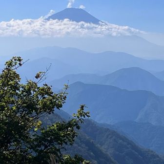 富士山がとても高い位置に見えました🗻