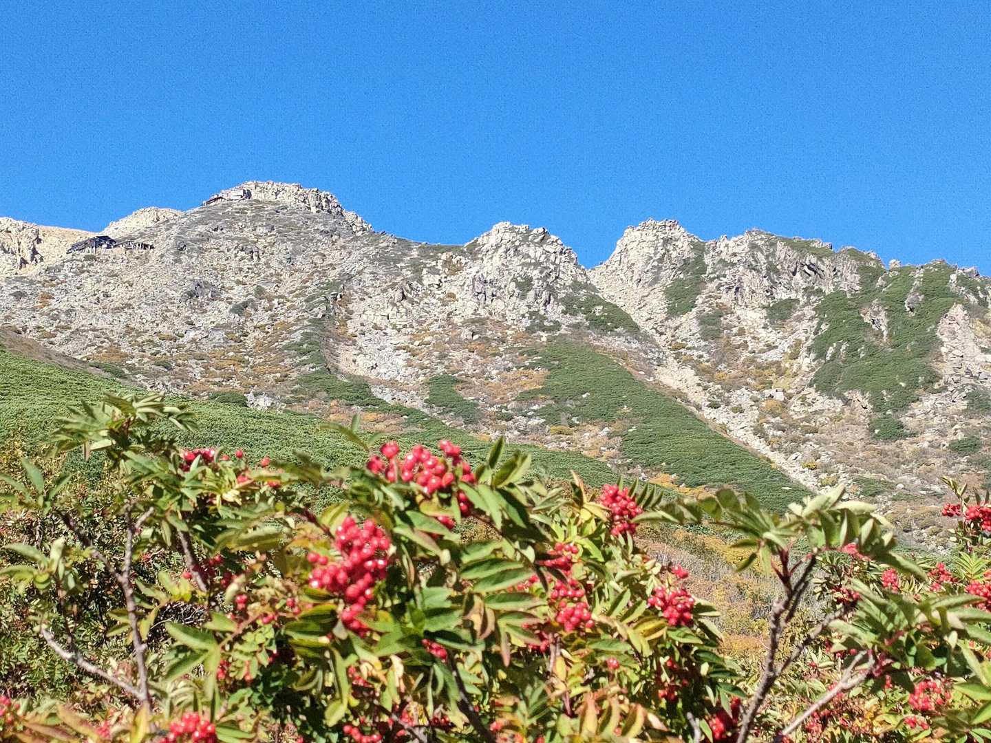 ナナカマドと御嶽山〜‼️