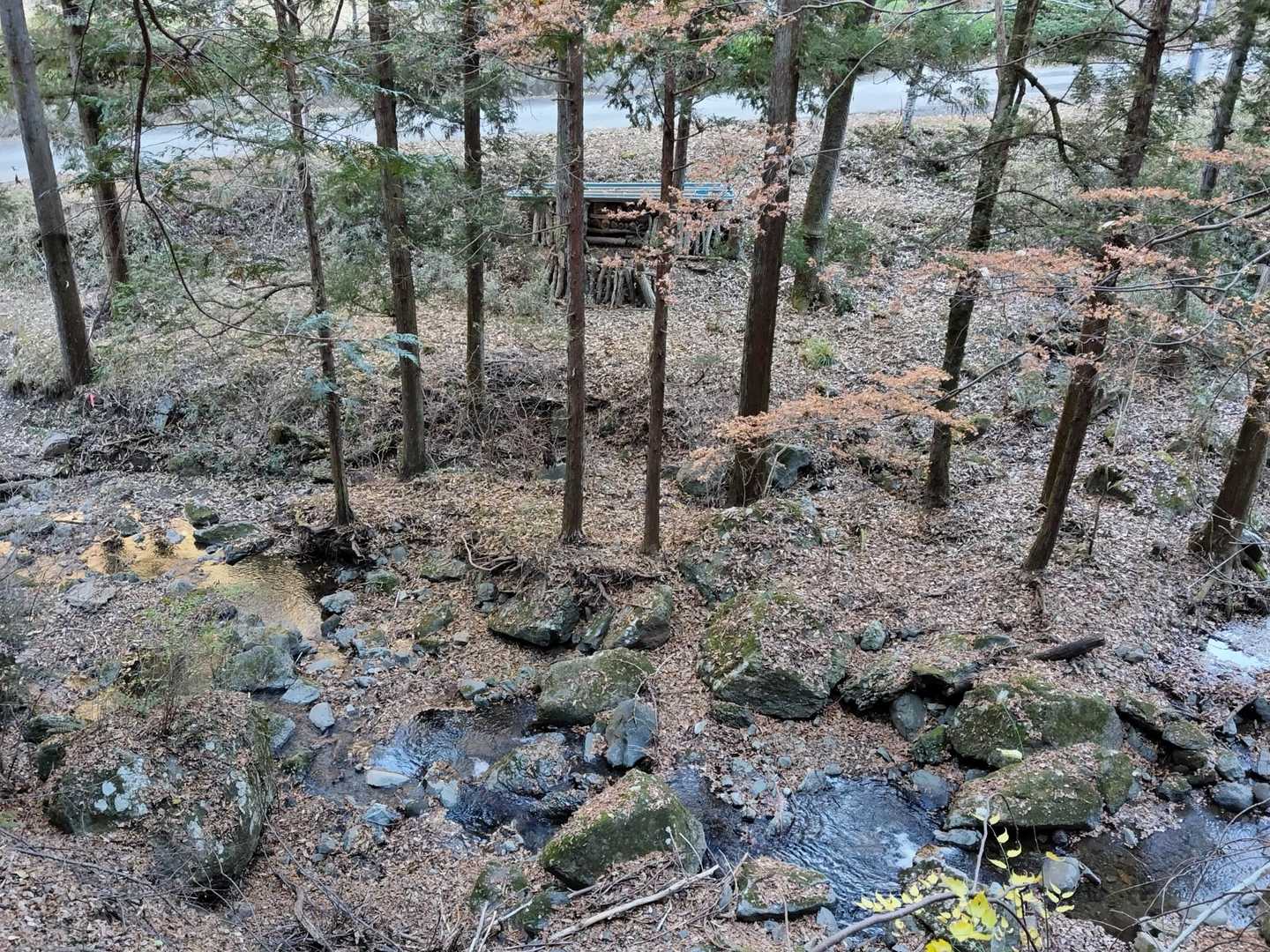 登山口の出口の所、
葉🍁が沢にびっしり
落ちてキレイでしたが、
紅葉🍁時期もキレイそう