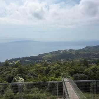 小室山山頂からの景色