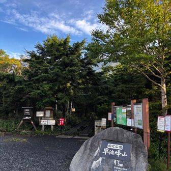 登山口、とっても綺麗に整備されてました