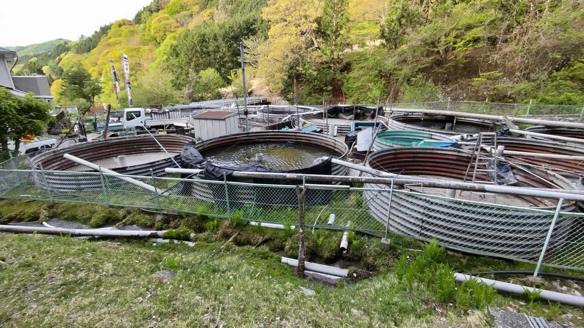 イワナかなんかの養殖場