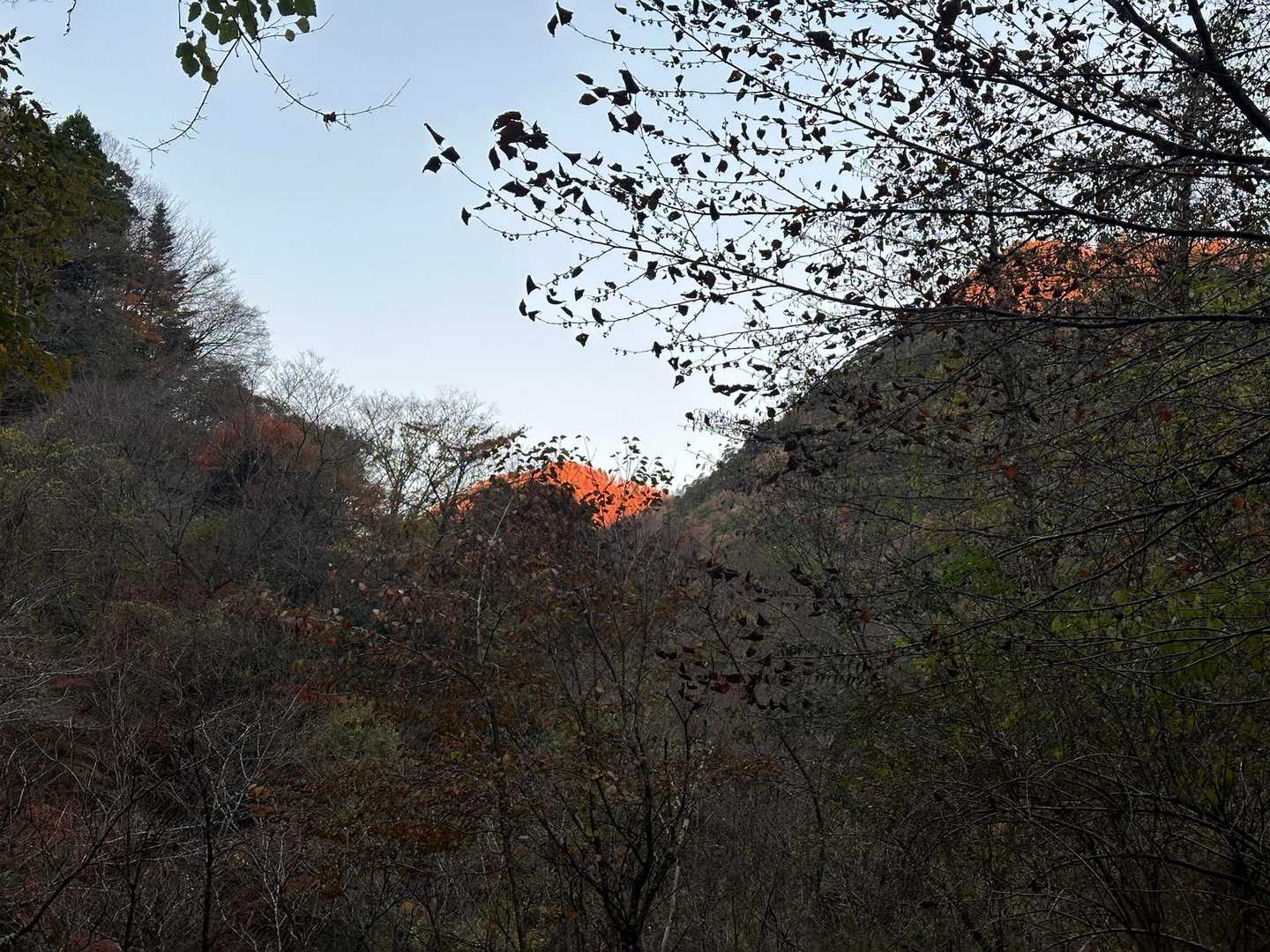 朝焼けの山