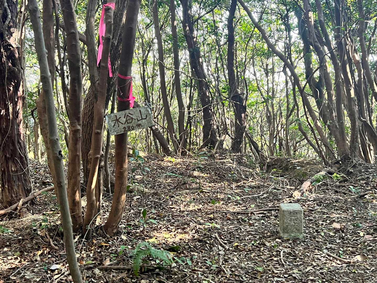 おぉやっと辿り着いたな水谷山！