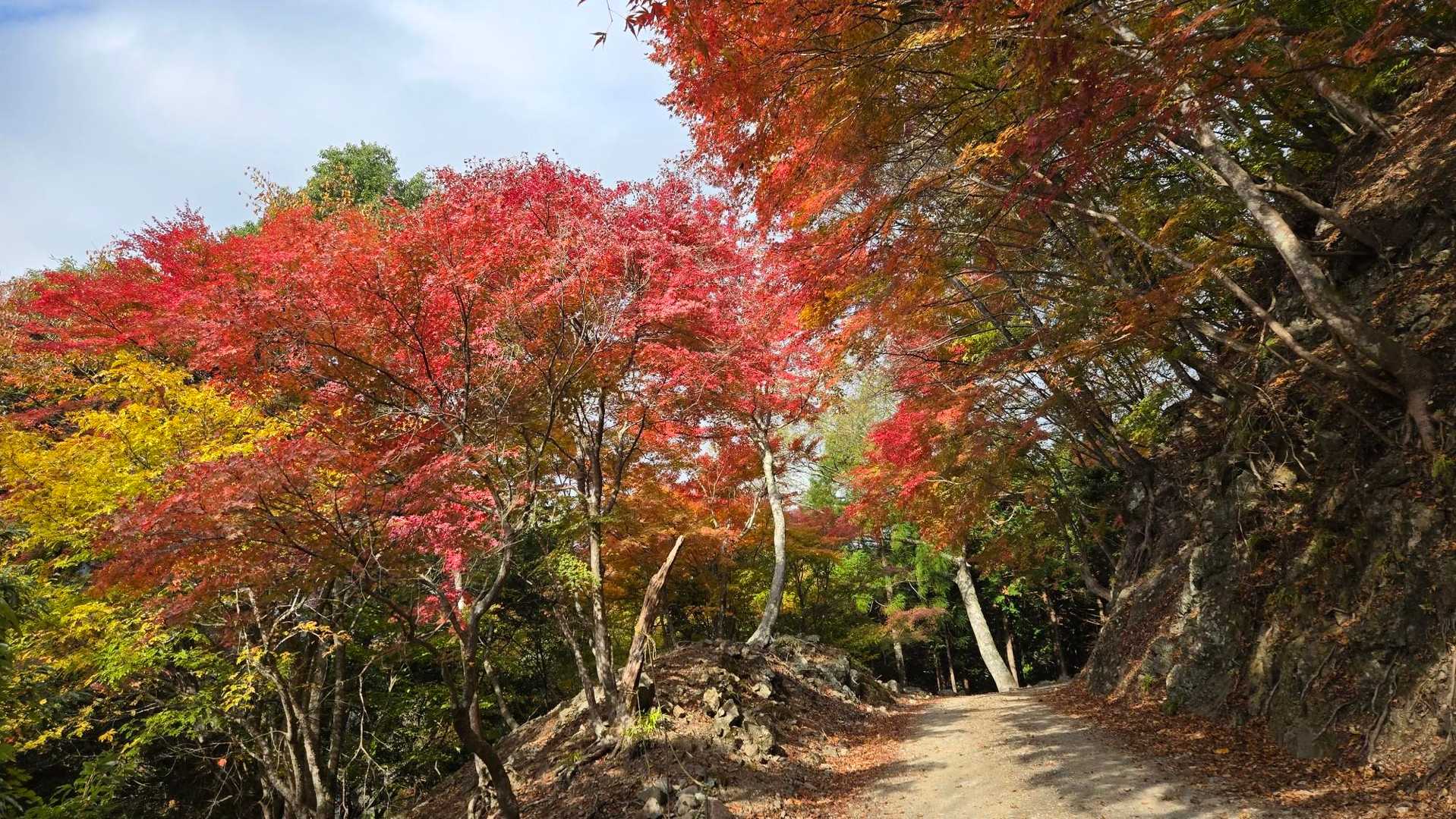 身延山周回 | 日蓮宗総本山の聖地。往時の参道を行けば富士山・南アルプスの眺望の写真