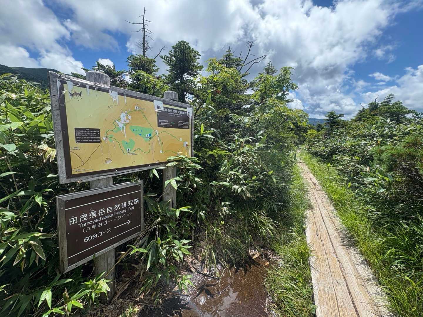 田茂萢岳行きます！