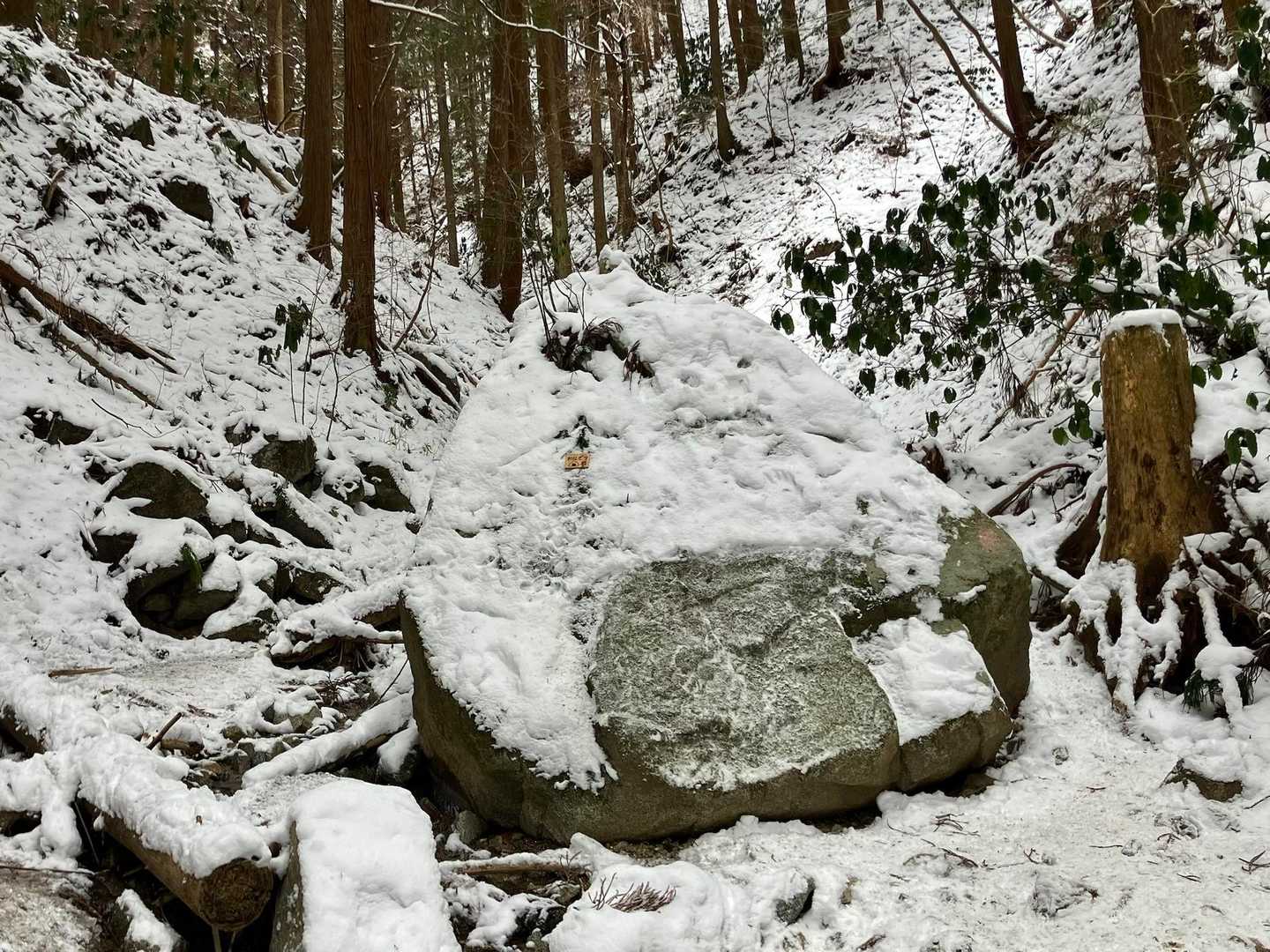でっかいトトロ岩が出現

おにぎり岩って名前がついていた