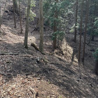 迷い道 はじまり😨