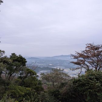 向こうに見えるのは筑波山かな？
