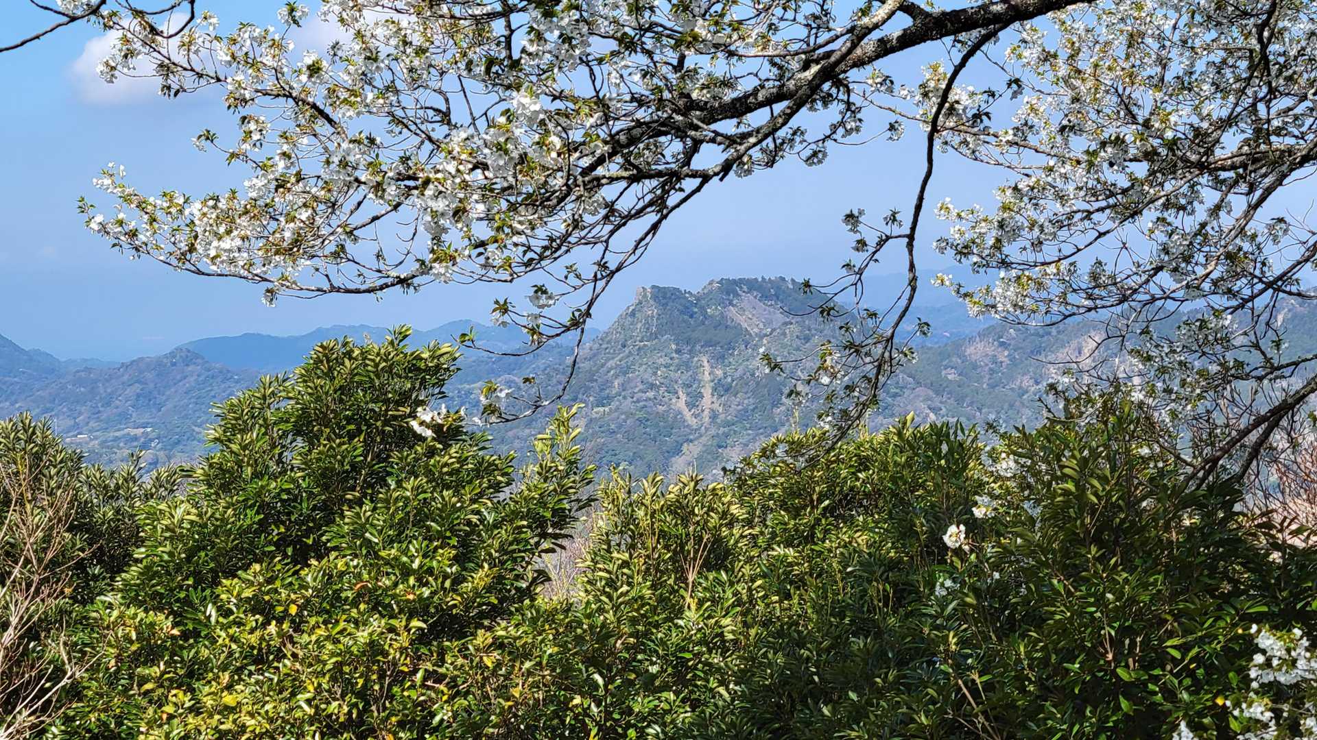 宝篋塔山-鷹取山-御殿山 周回コースの写真