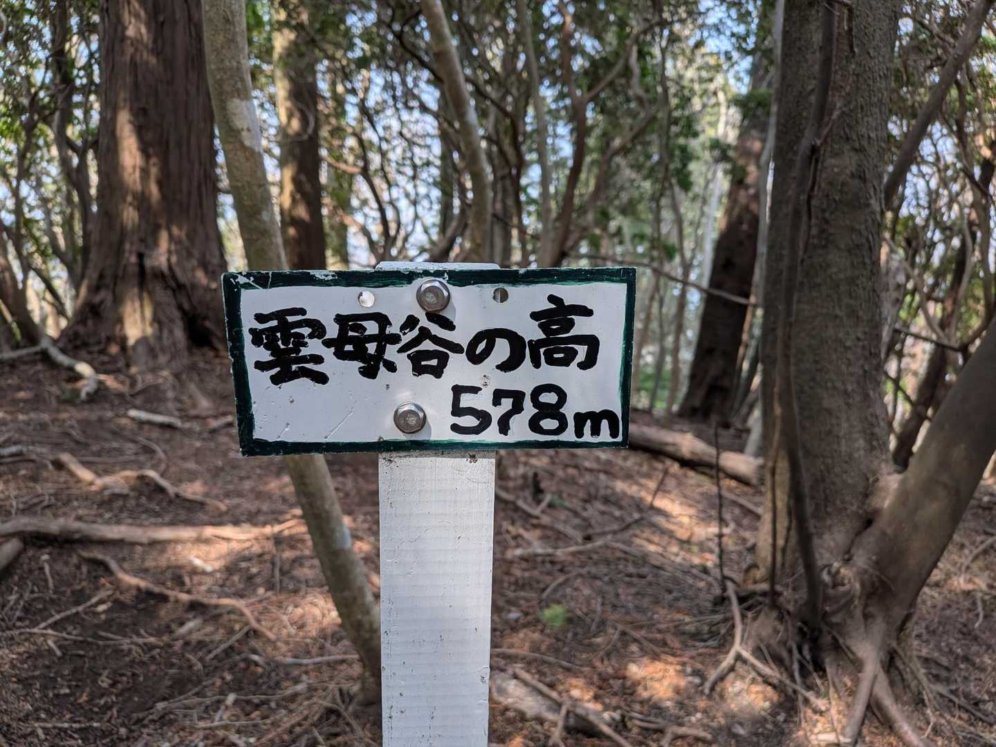 雲母谷の高（きららだにのたか）　578m