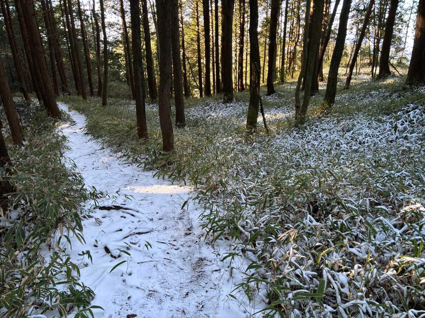 笹道に雪ホンマ最高でした☃️
今日も無事下山に感謝です〜🙇‍♂️🍀
おつかれ山〜⛰️