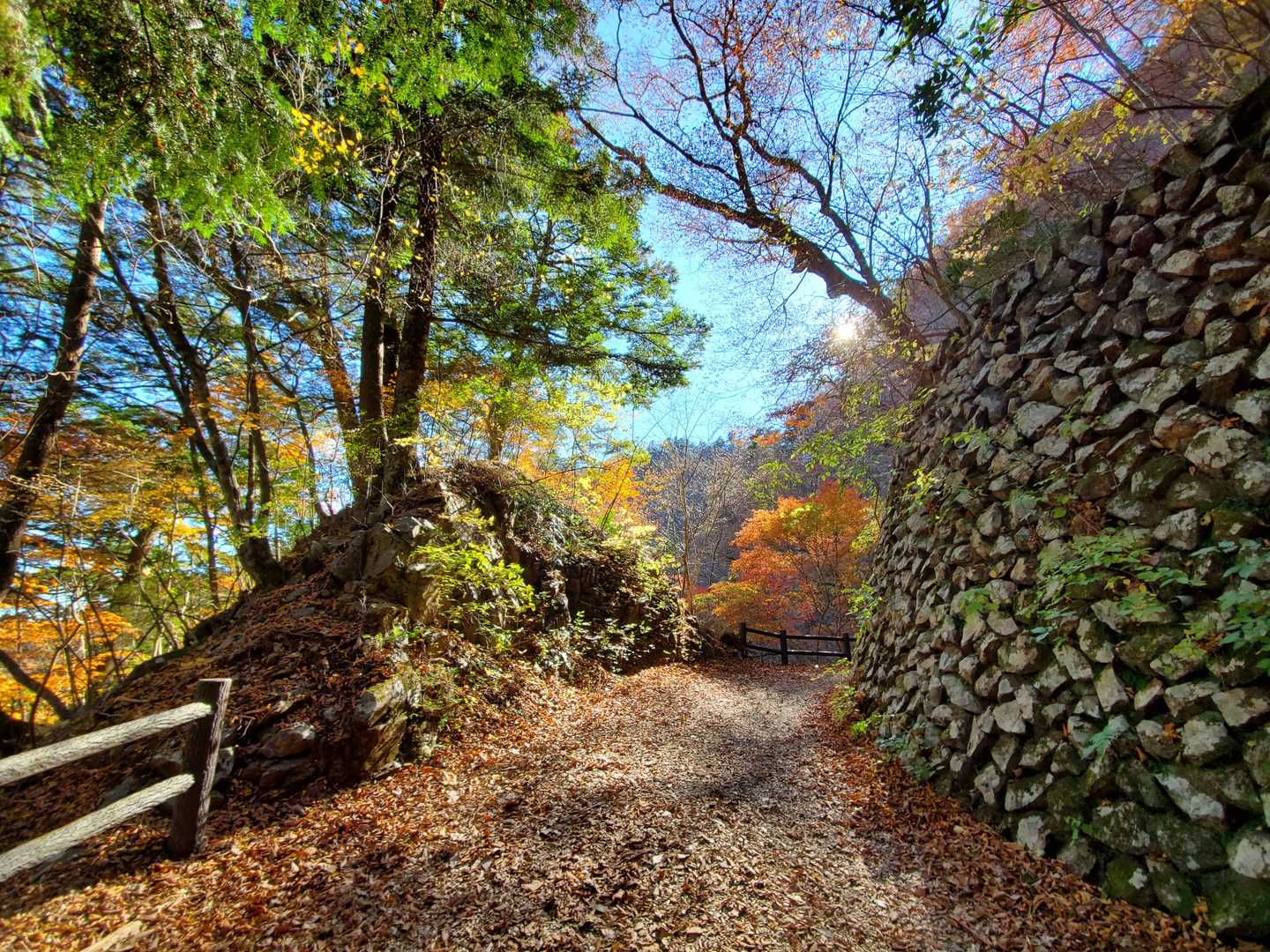 都民の森-鞘口峠-三頭山-ムシカリ峠-三頭大滝 周回コースの写真