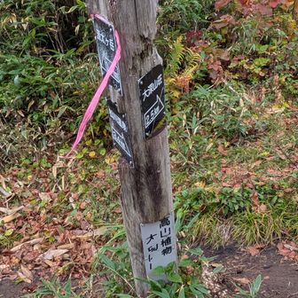 大深山荘への巻き道の分岐。雨が降ってきたので、ここでレインウェア装備します