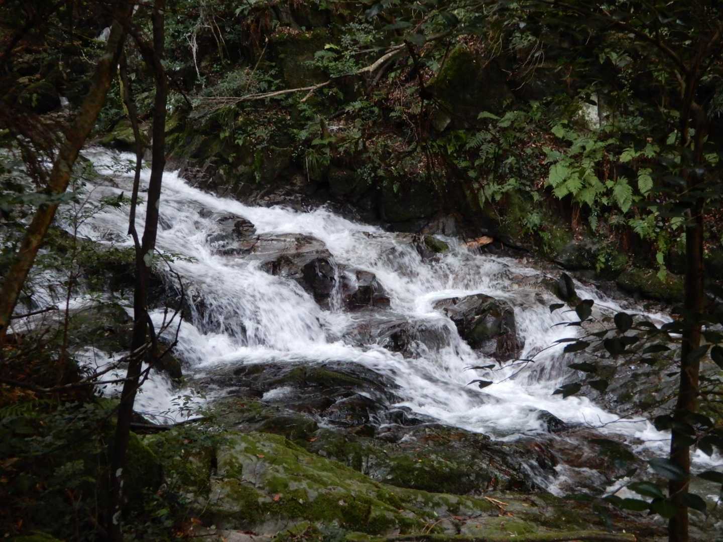 金山-アゴ坂峠 往復コースの写真