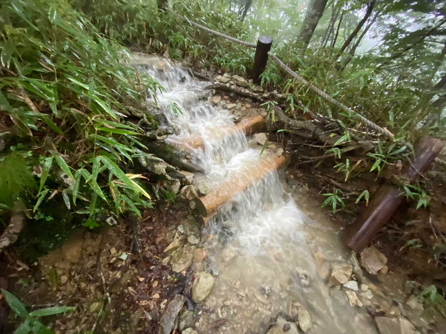 登山道はどこも、滝状態です。
初めての経験です。