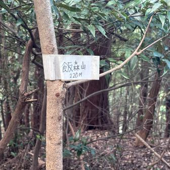 私観測史上最もしょぼい標識（失礼）
