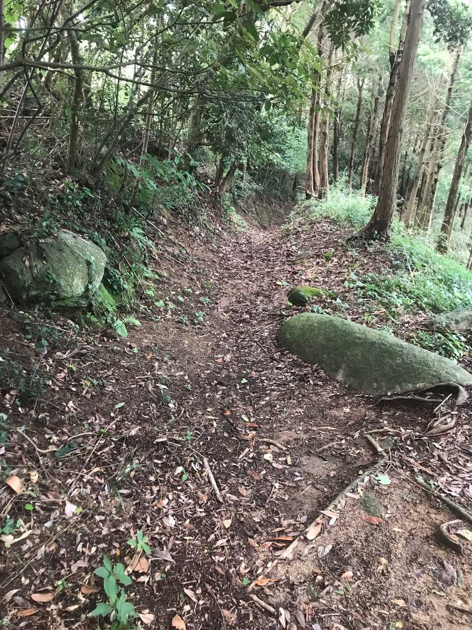 ここから下は、断然歩きやすい。
