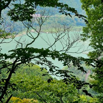 山頂からは秩父さくら湖が少し見えました。帰りは浦山ダムに降りたかったんだけど、道にロープが張ってあってダメなようでした。